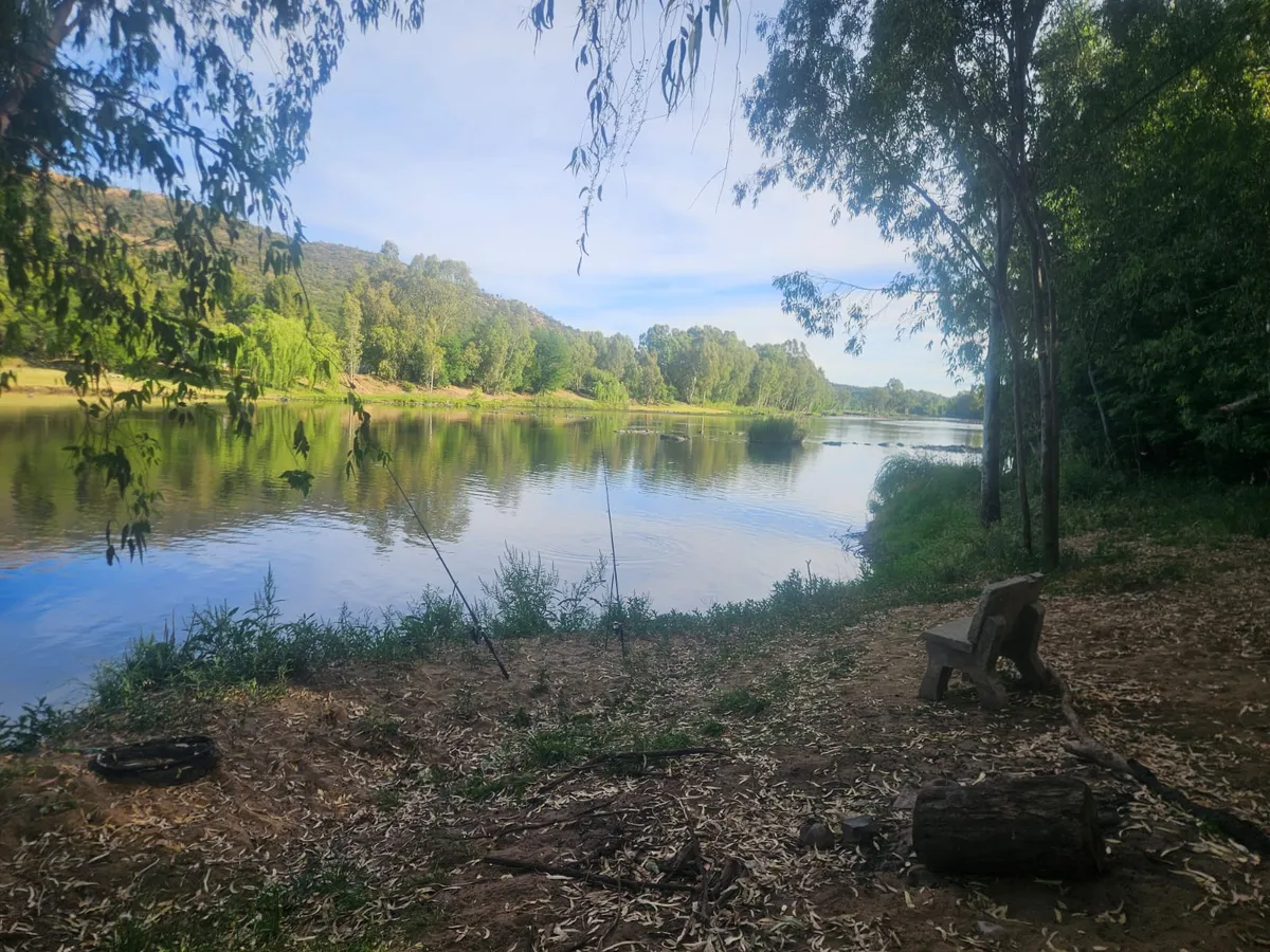 A bench on the riverbank looking out over the water and the hills
