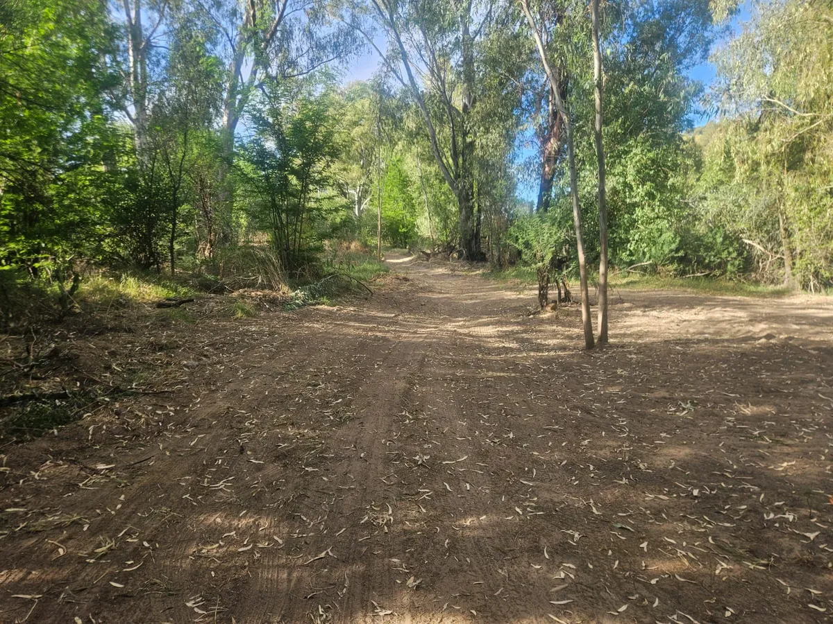 Sandy track through the trees to the campsites