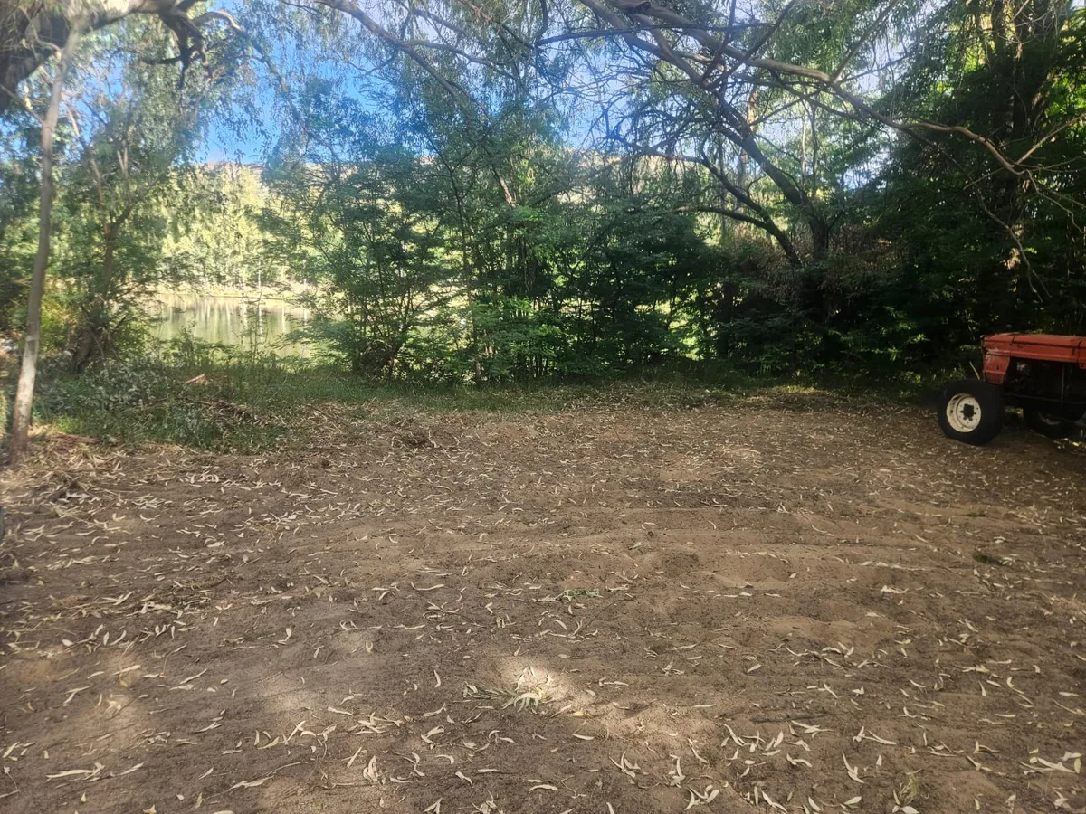 Open campsite clearing under the trees, with the river behind