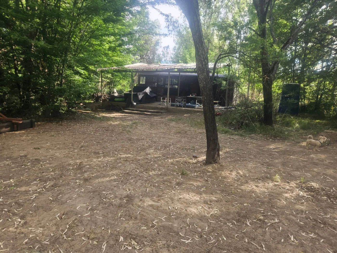 The old party bus with its covered deck, parked under the trees