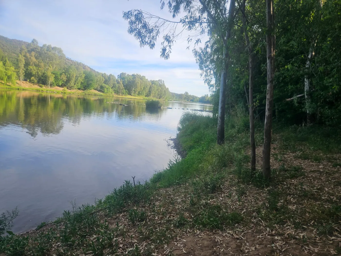 The river curving away between tree-lined banks