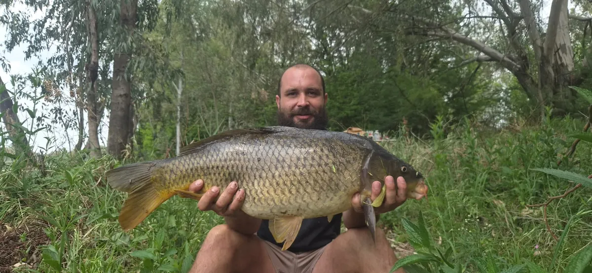 Angler holding a big carp on the grassy bank