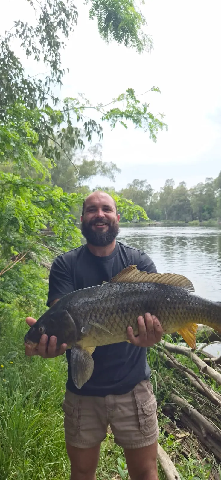 Angler with a carp beside the river