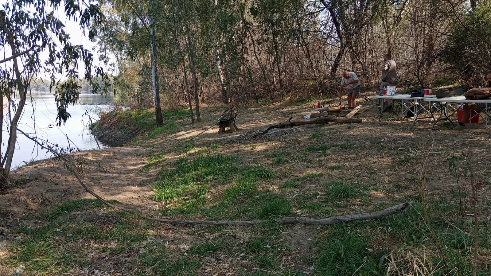 Riverbank camp under the trees