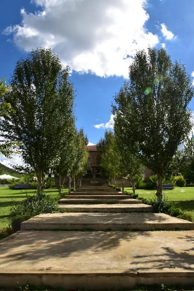 Stone steps between two rows of poplar trees
