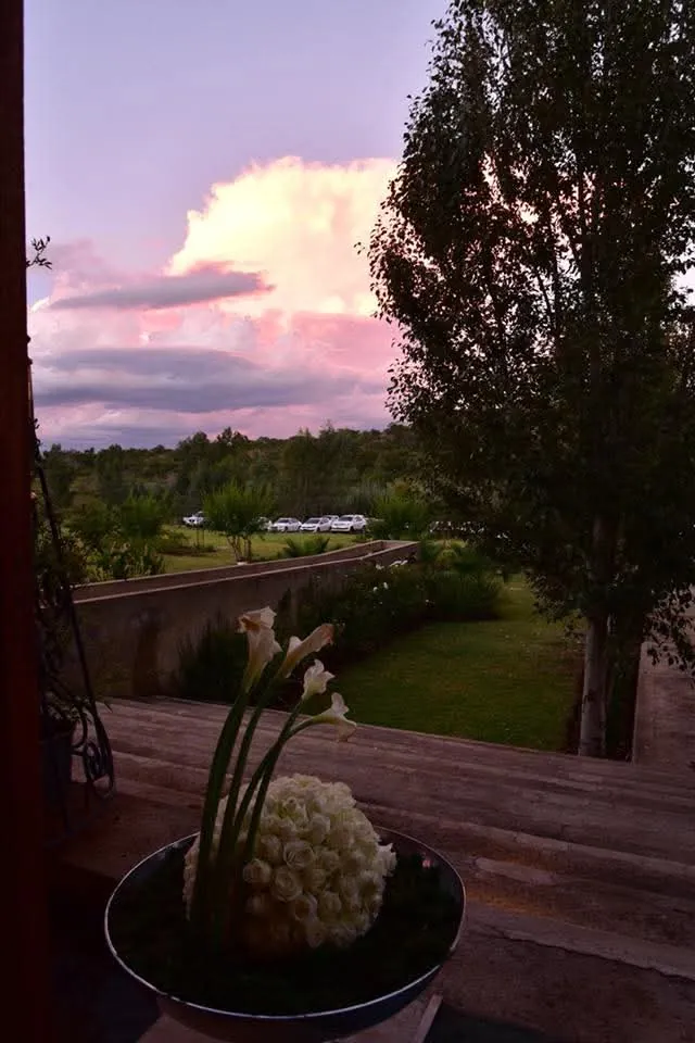 View over the gardens at sunset