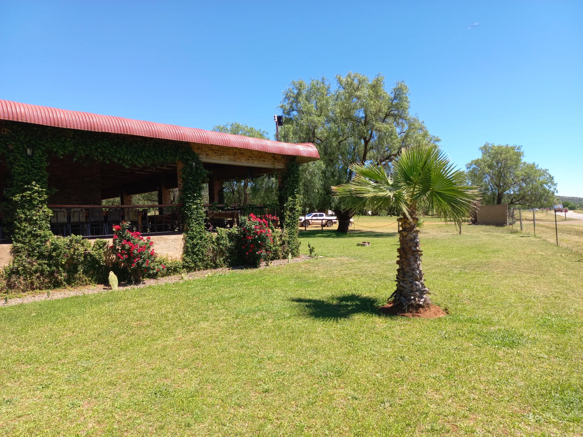The saloon seen across the lawn under big trees